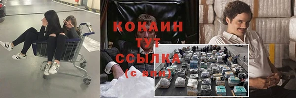 сатива Саяногорск