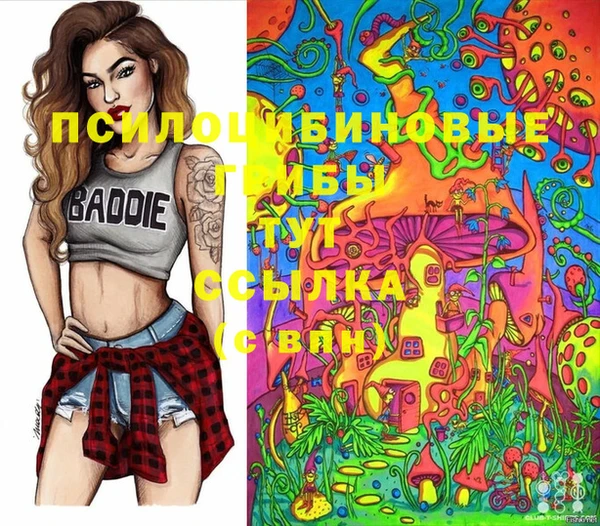 сатива Саяногорск