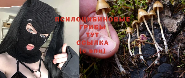сатива Саяногорск