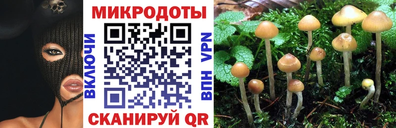 Псилоцибиновые грибы прущие грибы  Купить  Красноперекопск 
